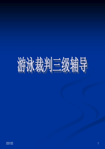 【最新】游泳裁判三级辅导