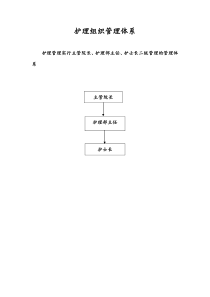 护理组织管理体系