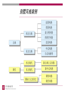 【房地产】世联：别墅风格案例