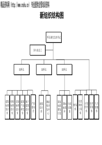新组织结构图