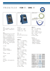 手持式电子压力计-FZM型DMG型