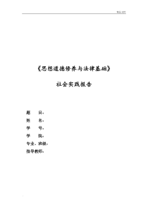 思想道德修养与法律基础—社会实践报告