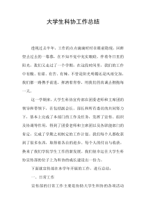 大学生科协工作总结