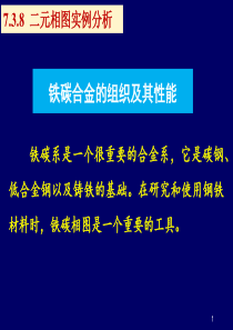 材料科学基础-铁碳合金的组织及其性能