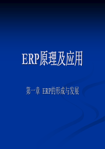 ERP原理及