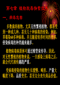 植物组织培养技术第七章 植物脱毒快繁技术