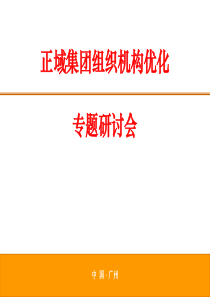 正域集团组织机构优化报告