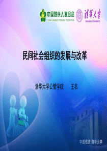 民间社会组织的发展与改革-王名ppt