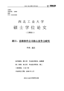 思维软件公司核心竞争力研究