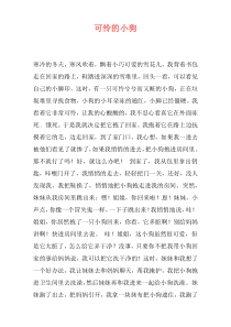 可怜的小狗