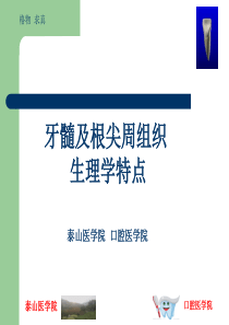 牙髓及根尖周的组织学特点