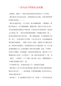 一次与众不同的社会实践