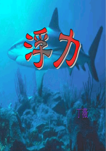 浮力(压力差)