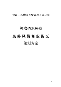 湖北神农架木鱼镇民俗风情商业街区策划方案