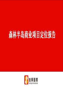 【房地产精品文档】建业森林半岛老房子商业街提案