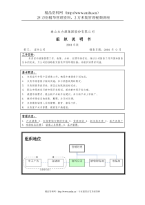 省外公司组织说明书