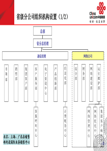 省级分公司组织机构设置