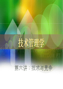 技术管理学--技术与竞争（PPT 35页）