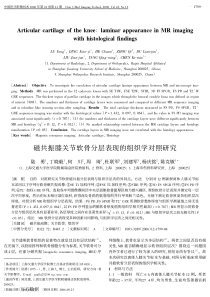 磁共振膝关节软骨分层表现的组织学对照研究