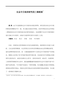 社会中介组织研究的三维框架