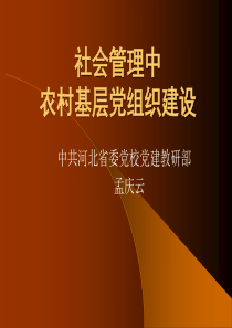 社会管理中农村基层党组织建设