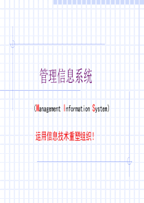 第1篇信息系统与组织