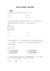 中考数学专题：锐角三角函数培优训练