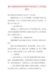 镇人民政府全年农村沼气安全生产工作总结范文