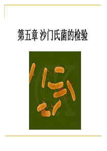 食品微生物课件 第五章_沙门氏菌的检验