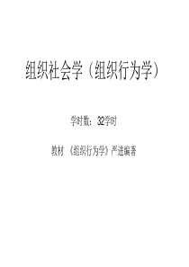 第一、二章组织与组织学、管理理论