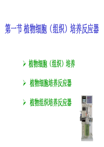 大学课件 生物工程设备 植物细胞（组织）培养反应器