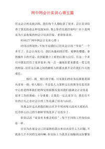 网中网会计实训心得五篇