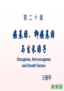 大学课件：生物化学之癌基因13