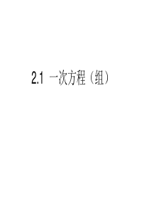 初中数学复习专题：一次方程(组)