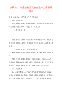 乡镇2021年度农村沼气安全生产工作总结范文