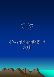 第三讲社会主义市场规则与市场组织