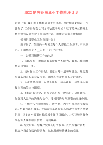 2022销售职员职业工作阶段计划