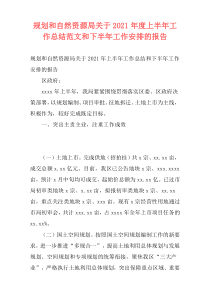 规划和自然资源局关于2021年度上半年工作总结范文和下半年工作安排的报告