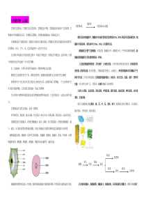 生物中考总复习提纲