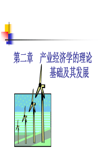 第二章产业组织理论的形成与发展XXXX09