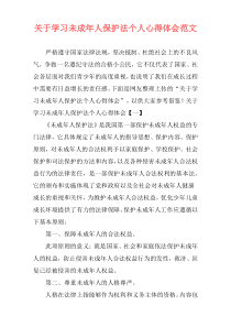 关于学习未成年人保护法个人心得体会范文