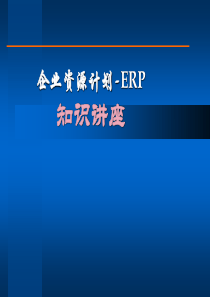 ERP原理培训