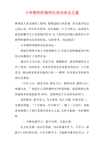 小学教师师德师风培训体会五篇