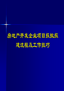 房地产开发企业项目报批报建流程及工作技巧97页)