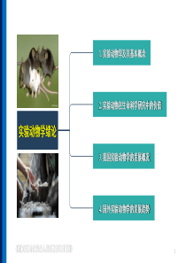 实验动物学-绪论