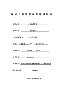 深圳大学管理学院实训报告