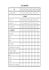 公司人力成本分析表