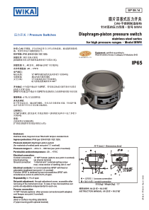 膜片活塞式压力开关Diaphragm0pistonpres