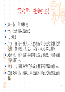 第六章p 社会组织