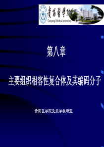 第六章主要组织相容性复合体及其编码分子